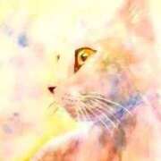 ヒメ日記 2025/08/22 13:22 投稿 せいな 熟女の風俗最終章 池袋店