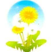 ヒメ日記 2025/08/22 16:36 投稿 せいな 熟女の風俗最終章 池袋店