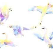 ヒメ日記 2025/08/24 22:12 投稿 せいな 熟女の風俗最終章 池袋店