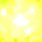 ヒメ日記 2025/08/27 10:31 投稿 せいな 熟女の風俗最終章 池袋店