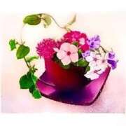 ヒメ日記 2025/08/28 13:25 投稿 せいな 熟女の風俗最終章 池袋店