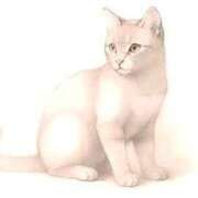 ヒメ日記 2025/09/09 22:46 投稿 せいな 熟女の風俗最終章 池袋店