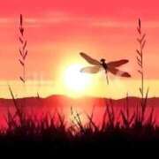 ヒメ日記 2025/09/10 07:42 投稿 せいな 熟女の風俗最終章 池袋店