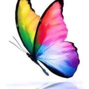 ヒメ日記 2025/09/12 12:02 投稿 せいな 熟女の風俗最終章 池袋店