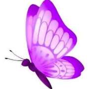 ヒメ日記 2025/09/13 09:46 投稿 せいな 熟女の風俗最終章 池袋店