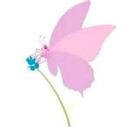 ヒメ日記 2025/09/13 11:54 投稿 せいな 熟女の風俗最終章 池袋店