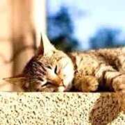 ヒメ日記 2025/09/19 19:42 投稿 せいな 熟女の風俗最終章 池袋店