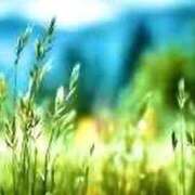 ヒメ日記 2025/09/21 07:02 投稿 せいな 熟女の風俗最終章 池袋店