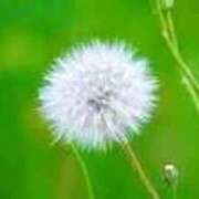 ヒメ日記 2025/10/04 14:03 投稿 せいな 熟女の風俗最終章 池袋店