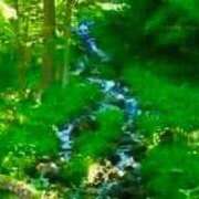 ヒメ日記 2025/10/05 19:03 投稿 せいな 熟女の風俗最終章 池袋店