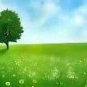 ヒメ日記 2025/10/07 09:45 投稿 せいな 熟女の風俗最終章 池袋店