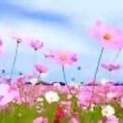 ヒメ日記 2025/10/11 08:14 投稿 せいな 熟女の風俗最終章 池袋店