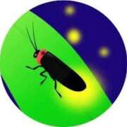 ヒメ日記 2025/10/14 14:52 投稿 せいな 熟女の風俗最終章 池袋店