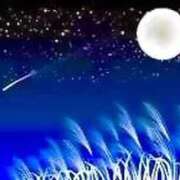 ヒメ日記 2025/11/17 09:53 投稿 せいな 熟女の風俗最終章 池袋店