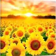 ヒメ日記 2025/12/05 12:30 投稿 せいな 熟女の風俗最終章 池袋店