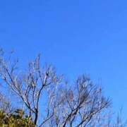 ヒメ日記 2026/01/15 08:42 投稿 せいな 熟女の風俗最終章 池袋店