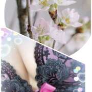 ヒメ日記 2025/04/14 08:33 投稿 若松　ちえ 昼下がりの情事