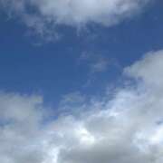 ヒメ日記 2025/07/14 08:41 投稿 若松　ちえ 昼下がりの情事