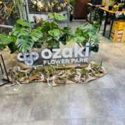 ヒメ日記 2025/03/04 20:49 投稿 まなつ 人妻花かんざし