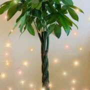 ヒメ日記 2025/03/05 19:54 投稿 まなつ 人妻花かんざし