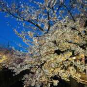 ヒメ日記 2025/04/04 19:10 投稿 まなつ 人妻花かんざし