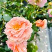 ヒメ日記 2025/05/29 18:24 投稿 まなつ 人妻花かんざし