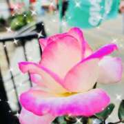 ヒメ日記 2025/06/03 11:06 投稿 まなつ 人妻花かんざし