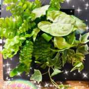 ヒメ日記 2025/06/04 18:53 投稿 まなつ 人妻花かんざし