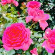 ヒメ日記 2025/06/11 18:18 投稿 まなつ 人妻花かんざし