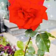 ヒメ日記 2025/06/14 16:34 投稿 まなつ 人妻花かんざし