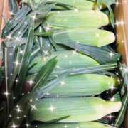 ヒメ日記 2025/08/06 20:52 投稿 まなつ 人妻花かんざし