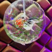 ヒメ日記 2025/08/07 09:31 投稿 まなつ 人妻花かんざし