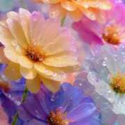 ヒメ日記 2025/08/07 17:37 投稿 まなつ 人妻花かんざし