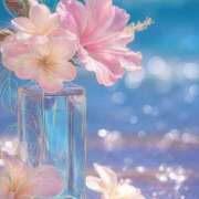 ヒメ日記 2025/08/27 19:47 投稿 まなつ 人妻花かんざし