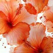 ヒメ日記 2025/09/14 21:22 投稿 まなつ 人妻花かんざし