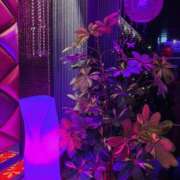 ヒメ日記 2025/11/06 16:27 投稿 まなつ 人妻花かんざし