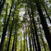 ヒメ日記 2025/11/11 19:03 投稿 まなつ 人妻花かんざし