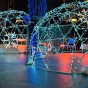 ヒメ日記 2026/01/10 18:31 投稿 まなつ 人妻花かんざし