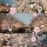 ヒメ日記 2026/03/30 08:29 投稿 まなつ 人妻花かんざし