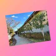 ヒメ日記 2025/02/02 21:02 投稿 あこ 素人妻達☆マイふぇらレディー