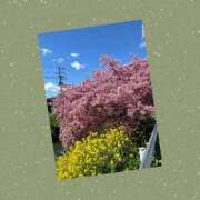 ヒメ日記 2025/03/17 21:02 投稿 あこ 素人妻達☆マイふぇらレディー