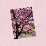 ヒメ日記 2025/04/13 12:16 投稿 あこ 素人妻達☆マイふぇらレディー