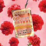 ヒメ日記 2025/05/13 13:01 投稿 あこ 素人妻達☆マイふぇらレディー