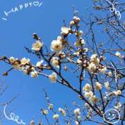 ヒメ日記 2025/02/09 17:30 投稿 さやか 人妻花かんざし