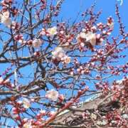 ヒメ日記 2025/02/18 16:04 投稿 さやか 人妻花かんざし