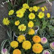 ヒメ日記 2025/02/27 15:30 投稿 さやか 人妻花かんざし