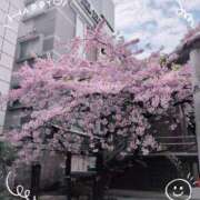 ヒメ日記 2025/03/15 08:55 投稿 さやか 人妻花かんざし