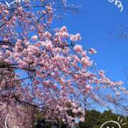 ヒメ日記 2025/03/20 14:16 投稿 さやか 人妻花かんざし