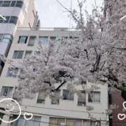 ヒメ日記 2025/03/27 16:43 投稿 さやか 人妻花かんざし