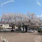 ヒメ日記 2025/04/13 20:09 投稿 さやか 人妻花かんざし